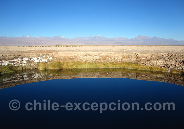 Laguna Tebinquiche, Atacama, Chili Laguna Tebinquiche, Atacama, Chili