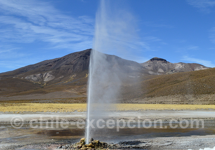 Geysers de Puchuldiza, Chili Geysers de Puchuldiza, Chili