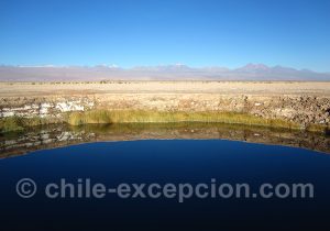 Laguna Tebinquiche, salar d'Atacama