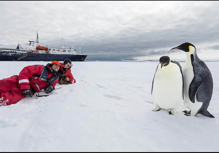 observation des manchots lors d'une croisière en Antarctique observation des manchots lors d'une croisière en Antarctique