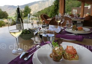 Hotel Clos Apalta Chili