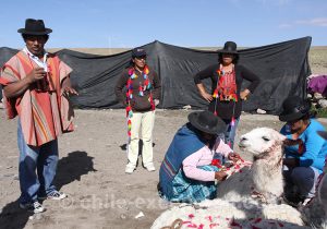 Traditions de l'altiplano chilien