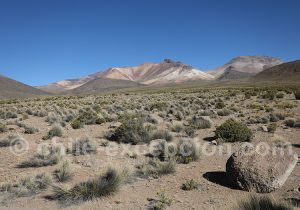 Les sommets du Taapaca