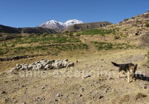 Sommets du Taapaca, versant sud