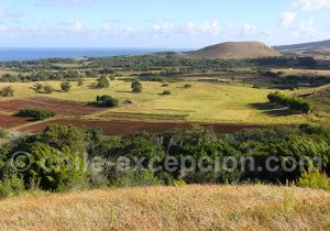 Panorama sur Rapanui