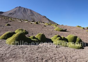Un des sommets versant nord du Taapaca