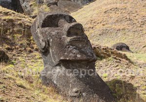 Rapanui, île de charme