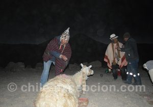 Rituel de la Pachamama culture aymara