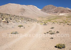 Versant nord du Nevado Taapaca