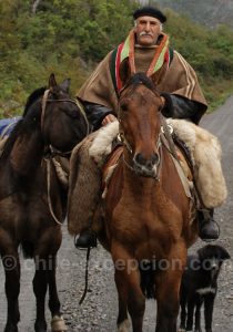 Gaucho de Patagonie