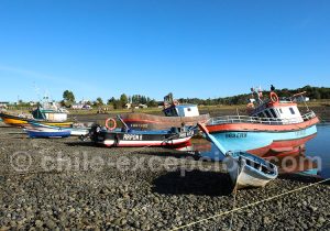 Visite de la Patagonie