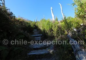 Randonnée en Patagonie