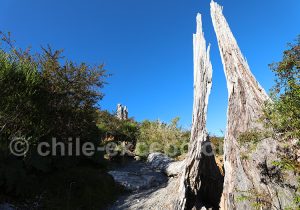 Trekking dans le sud du Chili