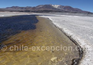 Lagunes et salars du parc Nevado Tres Cruces