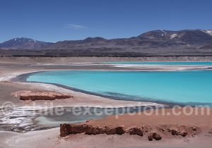 Lagune Verte, parc Nevado Tres Cruces