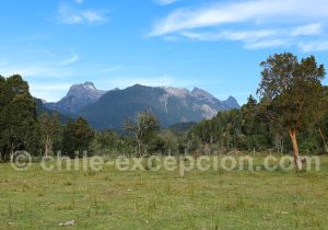 Paysage de Patagonie, région Puelo