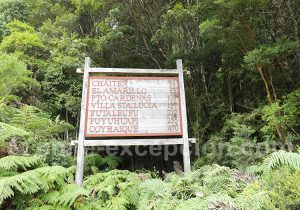 Caleta Gonzalo, Route Australe
