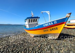 Pêche dans le Sud Chili