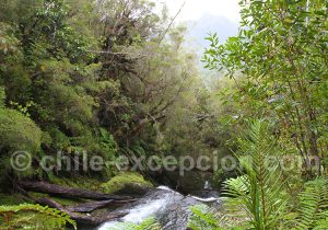 Ecotourisme au Chili