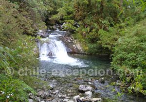 Sanctuaire naturel de Pumalin