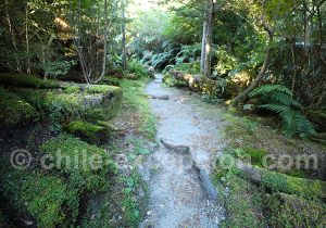 Marche sur le volcan Chaiten