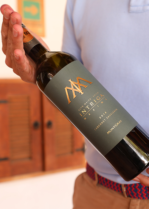 Production viticole au Chili