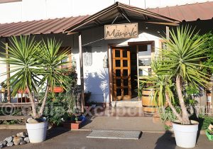 Visite de la cave Männle