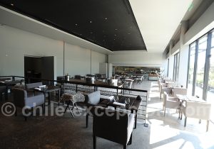 Dîner au Boragó à Vitacura