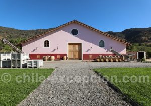Bodega de la Hacienda Araucano François Lurton