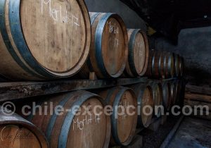 Barriques françaises de la cave Chillan