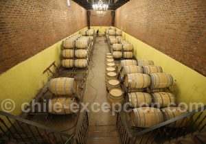 Salle de barriques viña Laura Hartwig