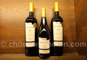Vins Gran Reserva de la viña Ravanal