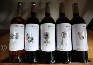 Viña Maquis, Chili