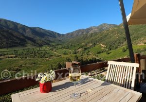 Mirador viña Ventisquero