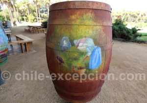 Parcours vin au Chili