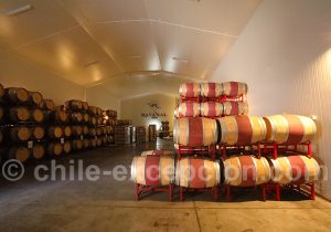 Cave de la viña Ravanal