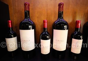 Les meilleurs vins de la viña Apaltaga