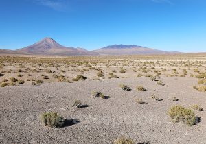 2 Vue sur le Cabaray bolivien