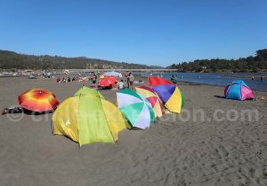 Ombre et soleil à Cahuil