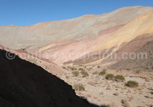 Quebrada La Totora, région Atacama