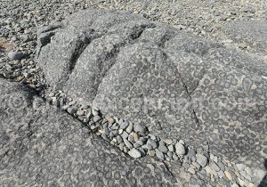 Caldera Sancturio de la Naturaleza