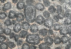 Roche orbiculaire du Chili