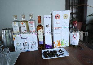 Vin Pajarete, Pisco et Gin, viña Armidita