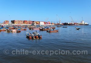 Visite du port d'Iquique