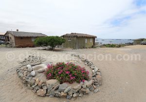 Cabañas à Caleta Chañaral de Aceituno