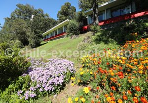 Le jardin de l'hôtel Antumalal