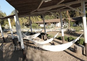 Faire une pause sur la route des vins du Chili, à l'Hacienda Histórica Marchigüe, dans la vallée de Colchagua