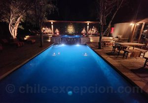 Hotel Desertica, piscine