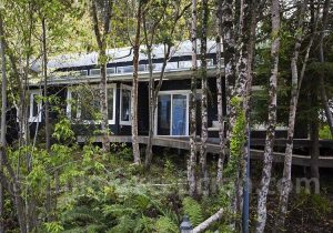 Pause dans la nature de la Carretera Austral, Patagonie chilienne