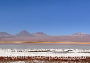 Lagunes et salars du désert d'Atacama